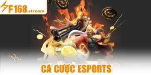 Cá Cược Esports